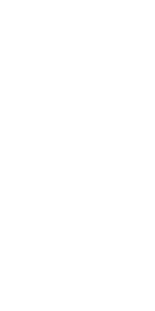 Slider Shape 2