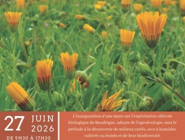 Sortie naturaliste le 27 juin