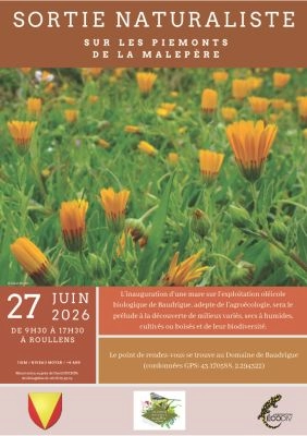 Sortie naturaliste le 27 juin